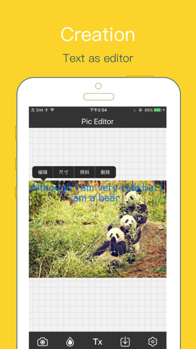 Pic Editor Pro - Add Filters & Text on Pictures screenshot 4