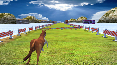 VR Wild Derby Riding - Horse Race screenshot 3