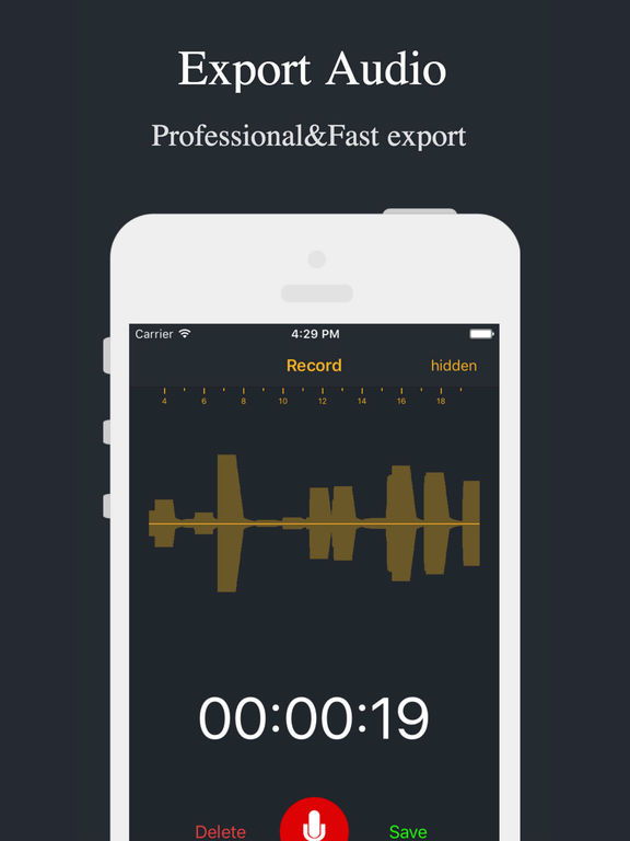 Screenshots of Audio Recorder - Voice Recorder for iPad