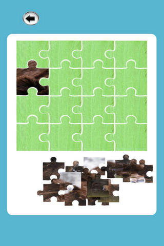 Bear Jigsaw Puzzle Animal Game for Kids screenshot 2