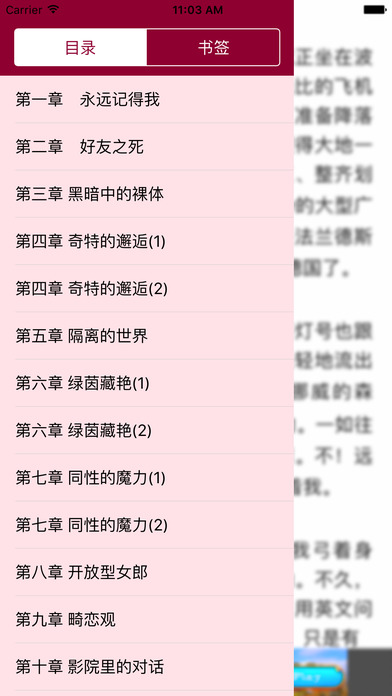 '''言情小说''' screenshot 4