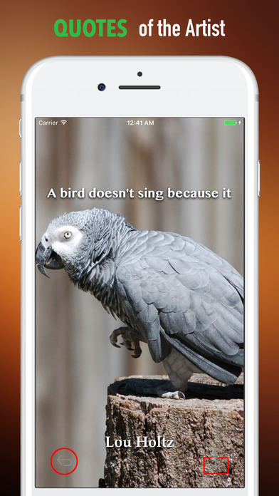 African Grey Parrot Wallpapers HD- Quotes and Art screenshot 4