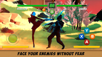 Shadow Kung Fu Fighting 3D - 2 screenshot 4