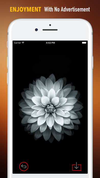 Black and White Flowers HD-Quotes and Art Pictures screenshot 2