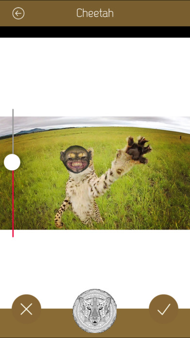 Cheetah Photo App screenshot 2