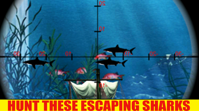 Black Shark hunting Sports Season Hunt Games screenshot 2