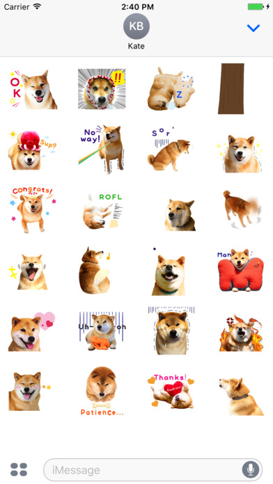 Shiba Inu Dog Animated Stickers screenshot 4