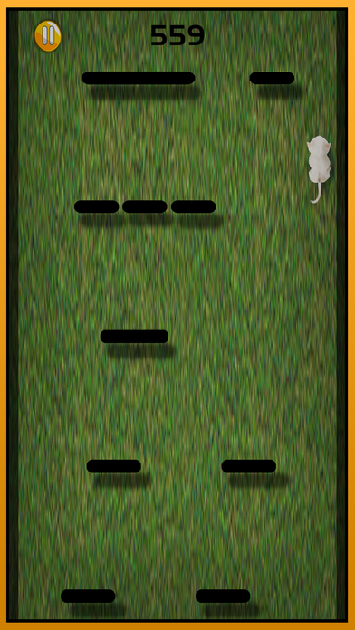 Lost Cat running game for kids – Angela Pet Kitten screenshot 2