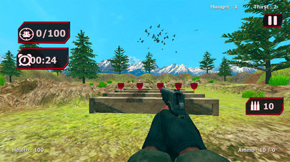 Pistol Fury Expert Shooter screenshot 3