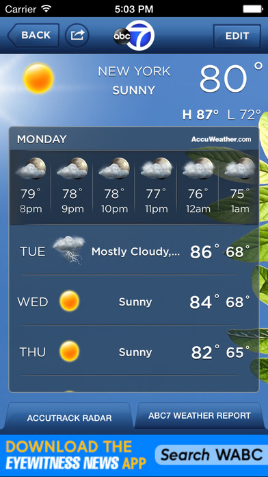 iPhone Screenshot 3
