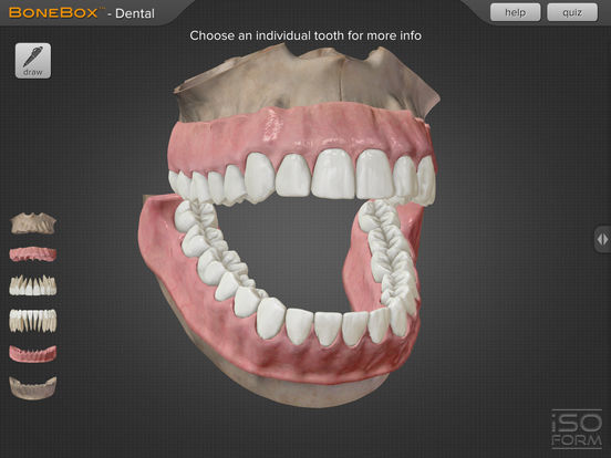 BoneBox™ - Dental Pro 앱스토어 스크린샷