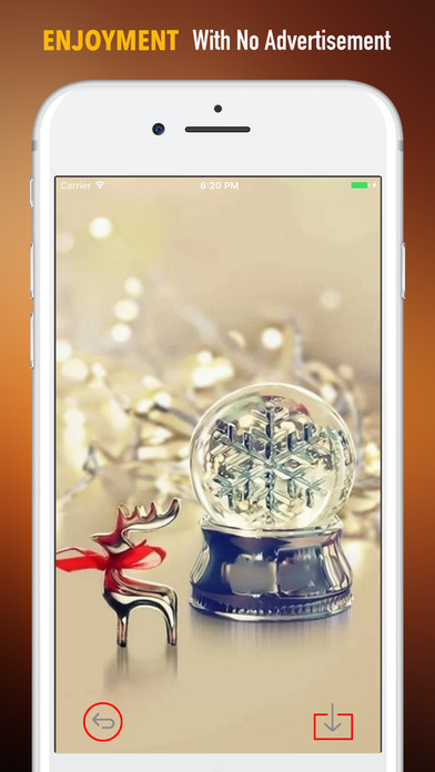 Snow Globe Wallpapers HD- Quotes and Art Poodle screenshot 2