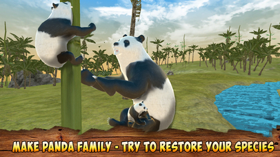 Panda Bear Simulator 3D Full screenshot 3