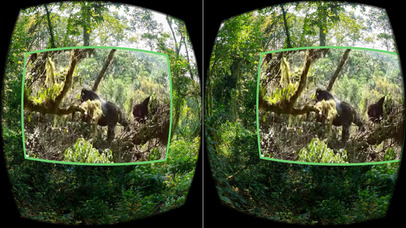 Gorilla Safari VR screenshot 2