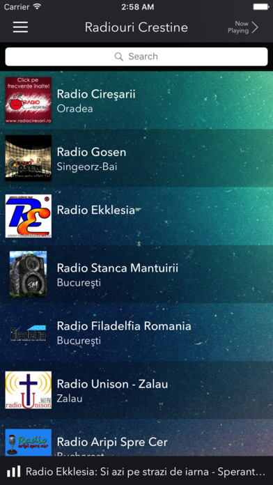 Radiouri Crestine screenshot 3
