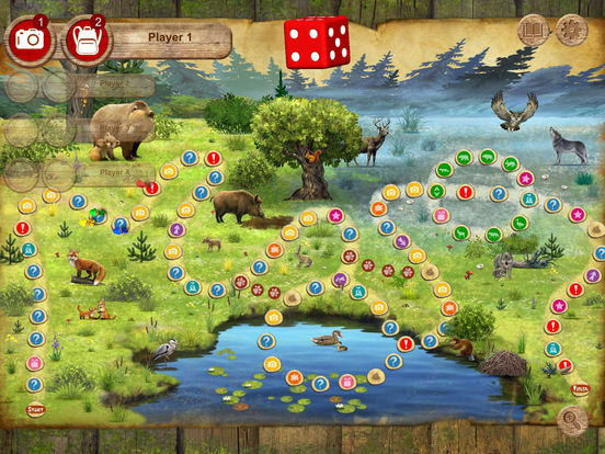Forest Quest: board game for kids and family, quiz Forest Quest: board game for kids and family, quiz