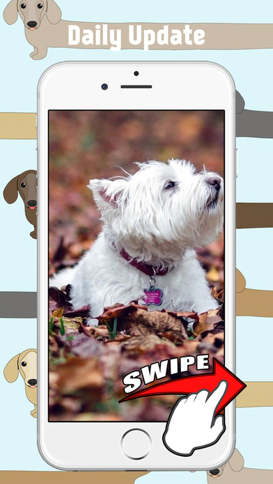 Cute Puppy Dog Wallpaper & Background screenshot 3