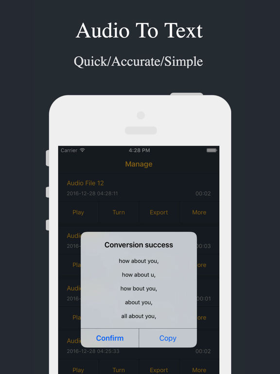 Screenshots of Audio Recorder - Voice Recorder for iPad