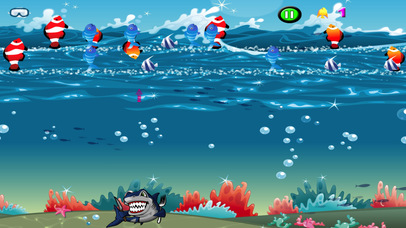 Angry Shark Hunting Fish PRO : Delicious Food screenshot 2