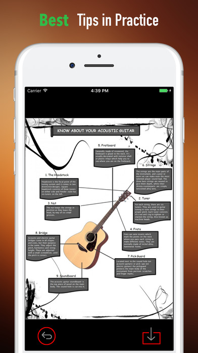 Acoustic Guitars Guide-Beginner Tips screenshot 4
