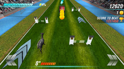 You Goat It! . Crazy Fun Race PRO screenshot 4