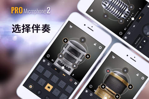 Pro Microphone 2 Plus - Voice Looper & Recorder screenshot 3