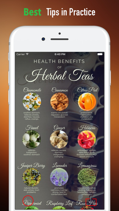 Herbal Teas Guide-DIY Natural screenshot 4