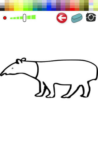 Color and Drawing Tapir - For Kids screenshot 2