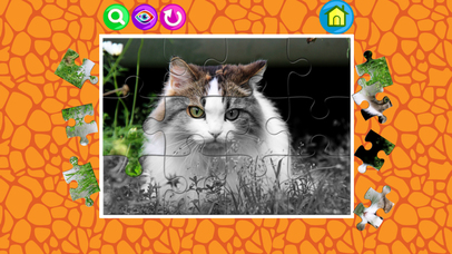 Beautiful cat jigsaw puzzle games for kids toddles screenshot 3