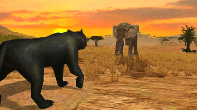 Deadly Black Panther - WIld Animal Simulator 3D screenshot 4