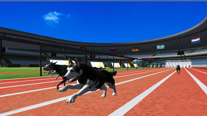 Dog Racing Simulator : New Free Adventures Race screenshot 4
