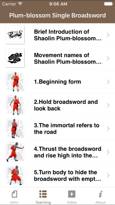 Shaolin Plum-blossom Single Broadsword/少林梅花单刀 screenshot 3
