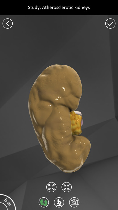 3D Pathology Constructor screenshot 4
