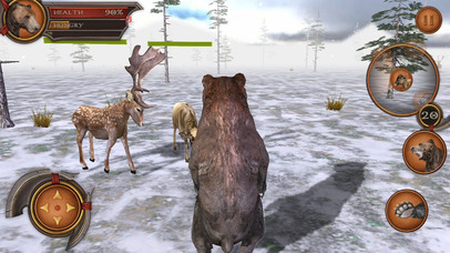 3D Bear Forest Simulation Premium screenshot 3
