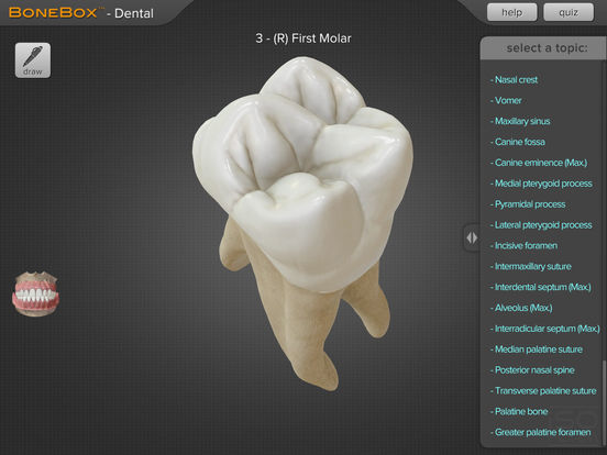 BoneBox™ - Dental Pro 앱스토어 스크린샷