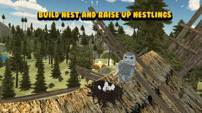 Flying Owl Bird Survival Simulator 3D screenshot 3