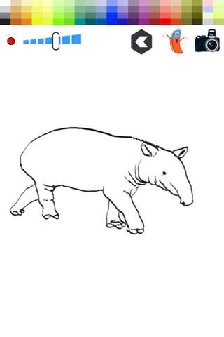 Draw and Color Tapir For Toodle screenshot 2