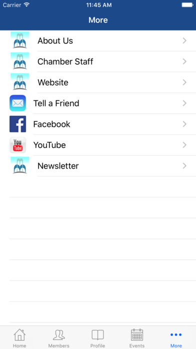 iPhone Screenshot 5