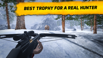 Bear Hunting - Shooting Simulator 3D PRO screenshot 4