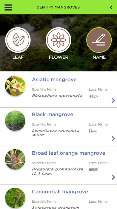 Mangrove screenshot 2