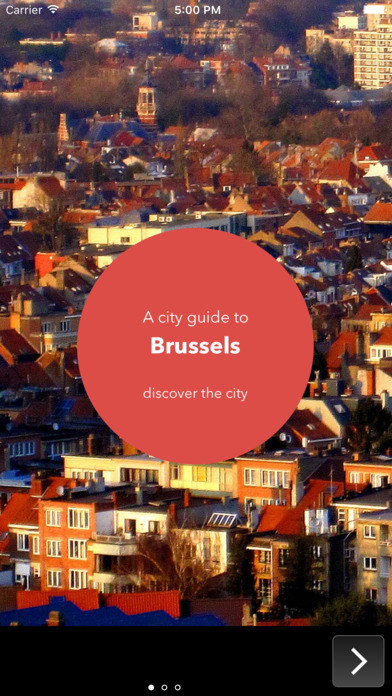 Brussels Travel & Tourism Guide screenshot 2