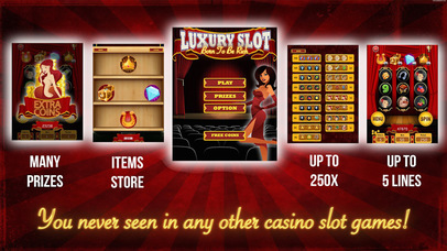 Wild Lucky Lady Slot screenshot 2