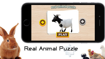 Real Animal Puzzle Jigsaw screenshot 3