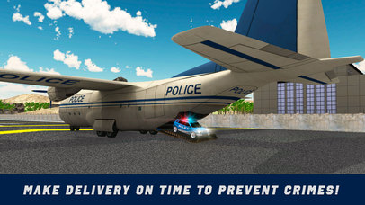 Police Air Plane Flight Simulator 3D screenshot 3
