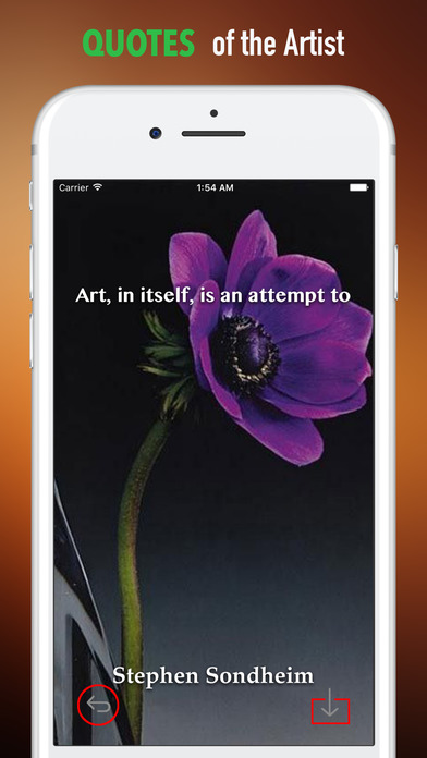Wallpapers HD for Flowers-Quotes screenshot 4
