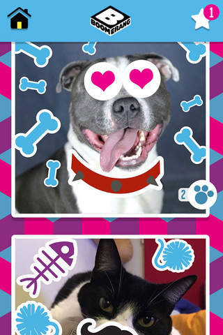 Boomerang Pet Photo Booth screenshot 3