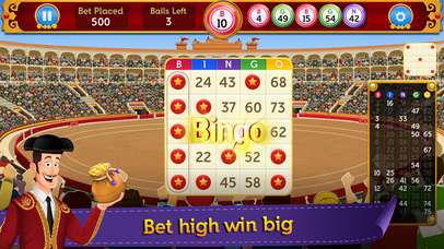 Spanish Bingo screenshot 3