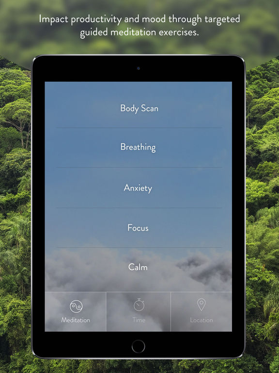 iPad Screenshot 3