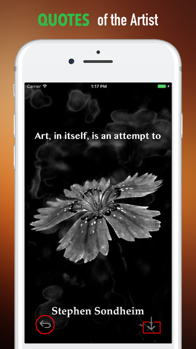Floral X Ray Wallpapers HD-Quotes and Art Pictures screenshot 4