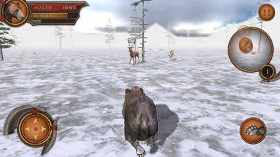 3D Bear Forest Simulation Premium screenshot 4
